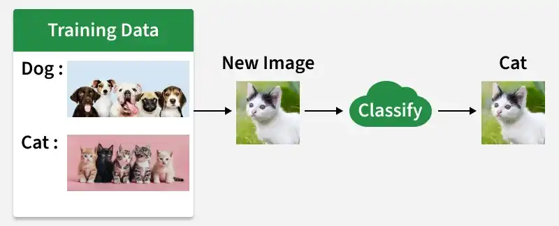 Classification