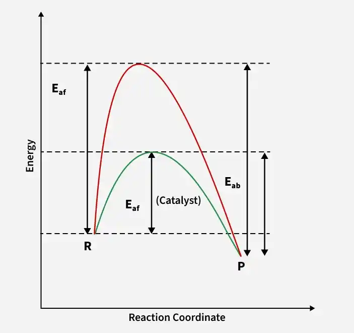 reaction_catalyst