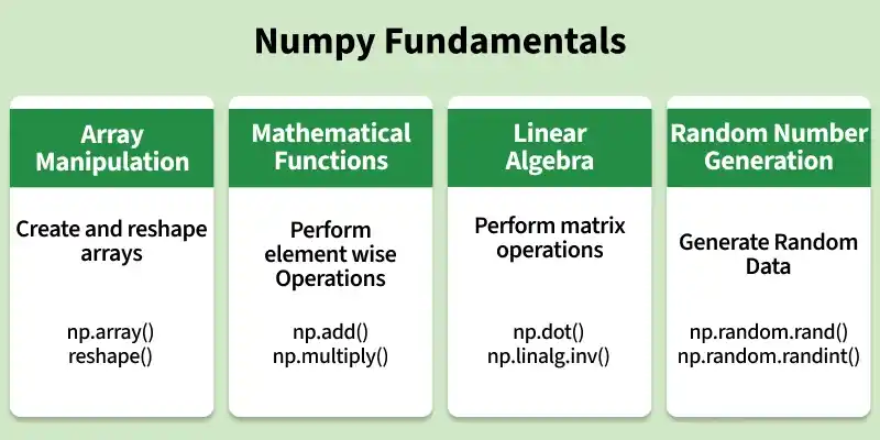 numpy_fundamentals