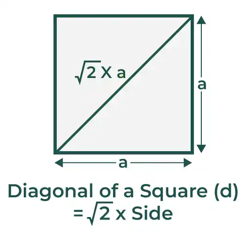 Perimeter-of-Square-3