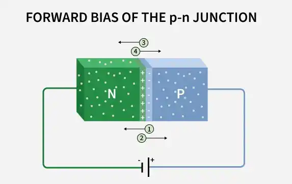 Forward-Bias