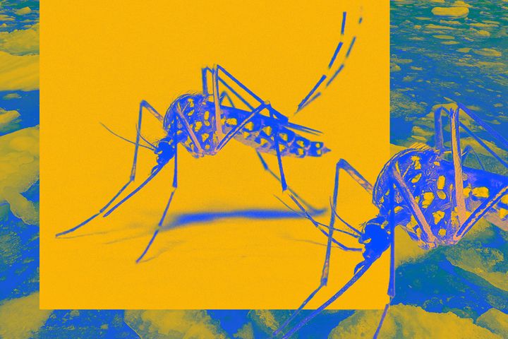 This Weird, Fleshy Novel Is Exactly What You Need Right Now