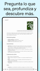 Imagen de la captura de pantalla