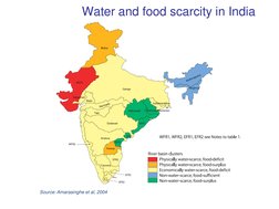 Water and food scarcity in India
Source: Amarasinghe et al, 2004