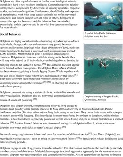 (https://en.wikipedia.org/wiki/File:Dolphinsurfresize.jpg) (https://en.wikipedia.org/wiki/File:Dolphins_gesture_language.jpg