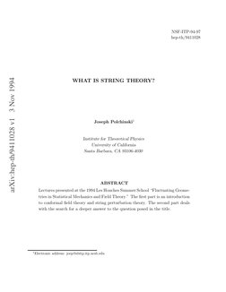 arXiv:hep-th/9411028 v1 3 Nov 1994
NSF-ITP-94-97
hep-th/9411028
WHAT IS STRING THEORY?
Joseph Polchinski1
Institute for The