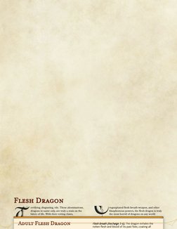Flesh Dragon
T
T
errifying, disgusting, vile. These abominations,
dragons in name only, are truly a stain on the
fabric of li
