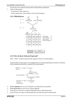 CH-4: HEREDITYAND EVOLUTION
SP/Biology/Class-X
PAGE# 5
because they store, replicate and transcribe coded hereditary informat