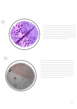 ______________________________________________
______________________________________________
_______________________________