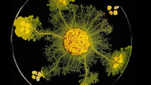 Web3 Sydney cover photo