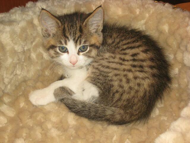 Photo of the user Donna Davis