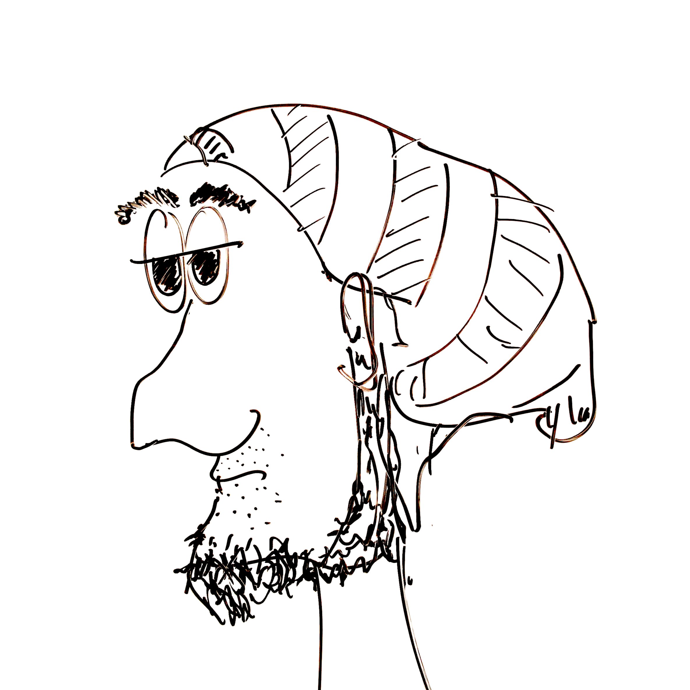 Photo of the user Raul Popadineti