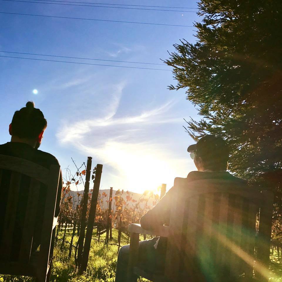 Photo of the user Hisham Jazzar