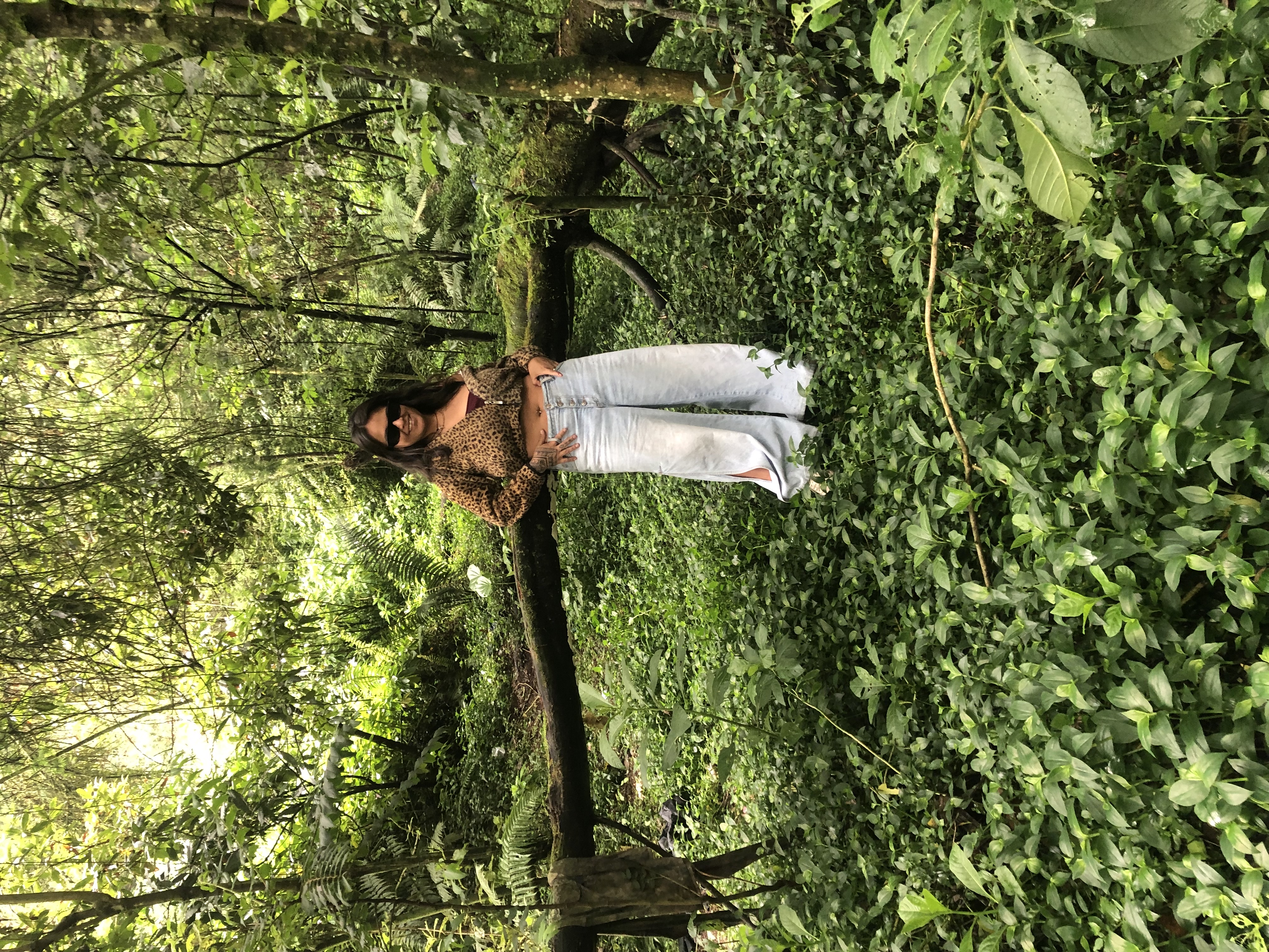 Photo of the user Mara  Quintana