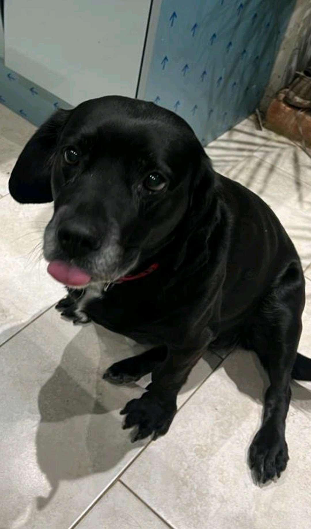 Photo of the user Bradley