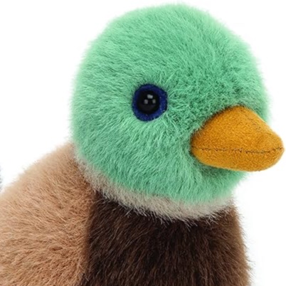 Photo of the user J-the-duck