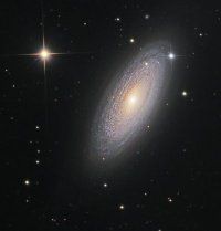 Photo of the user Angel "Java" Lopez