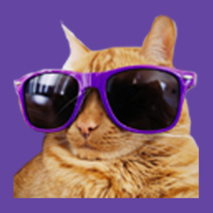 Photo of the user Vixia