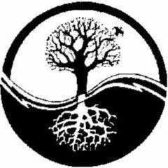 Photo of the user Alex Timbol