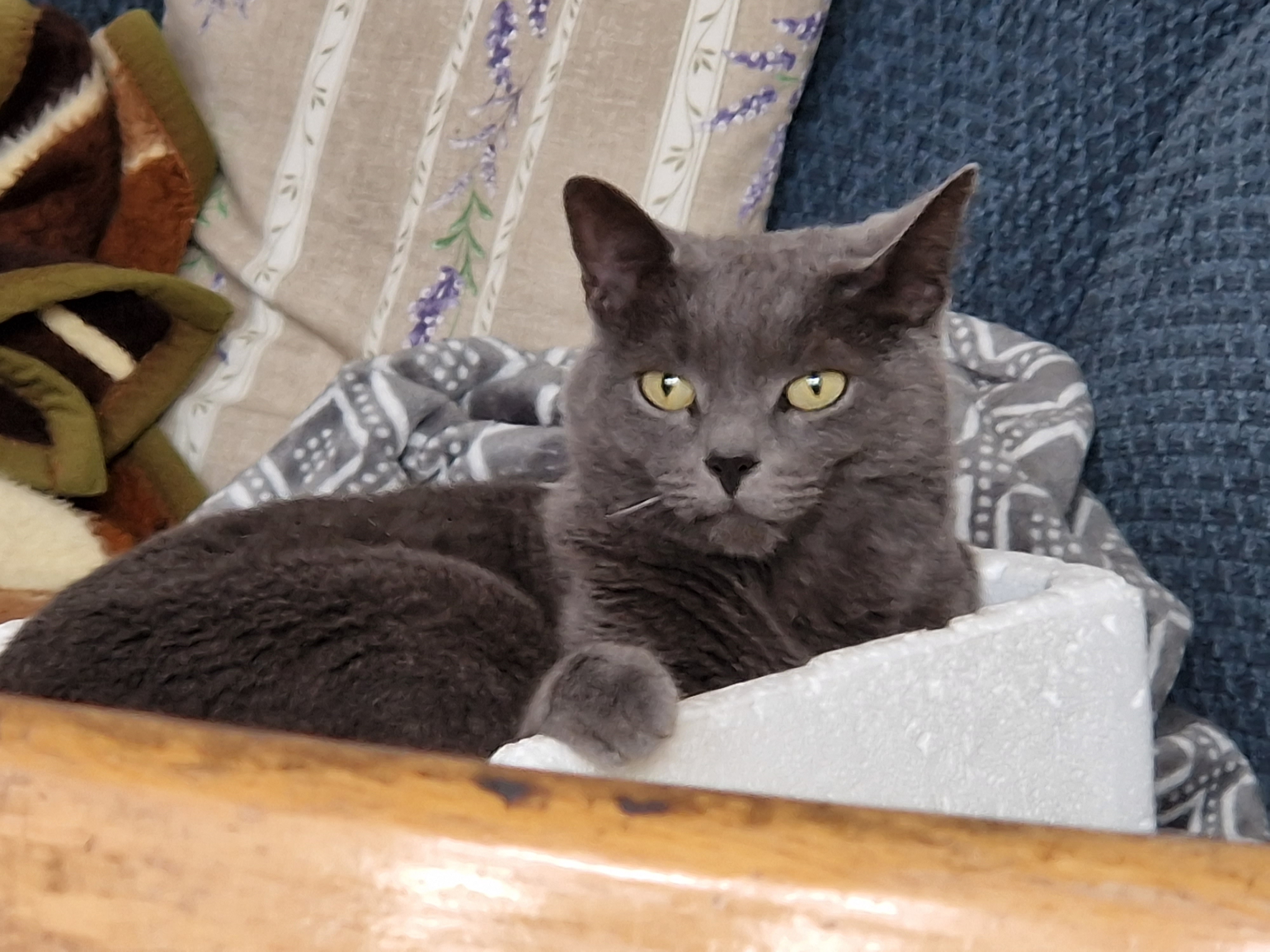 Photo of the user Rostislav Litovkin