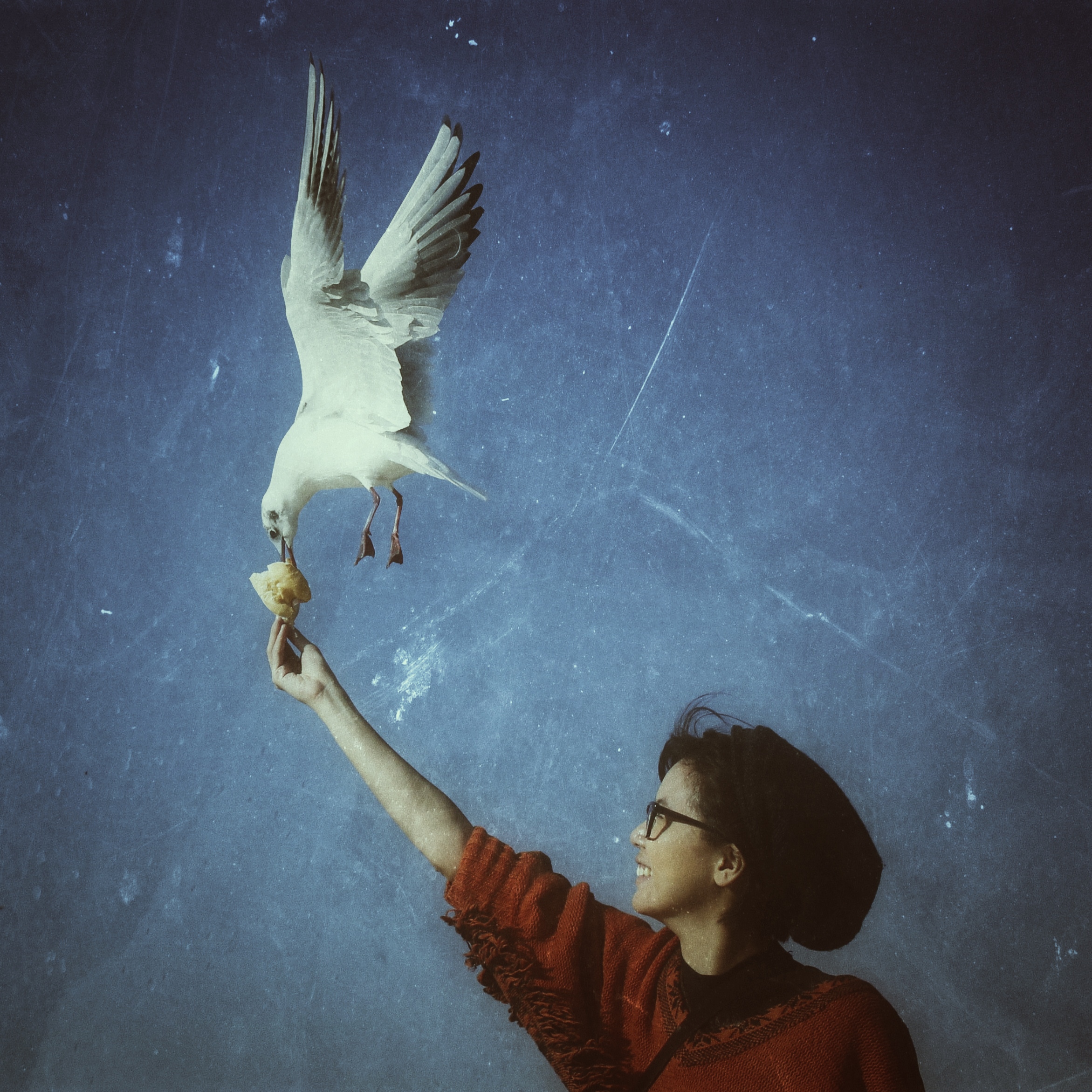 Photo of the user Ryanne