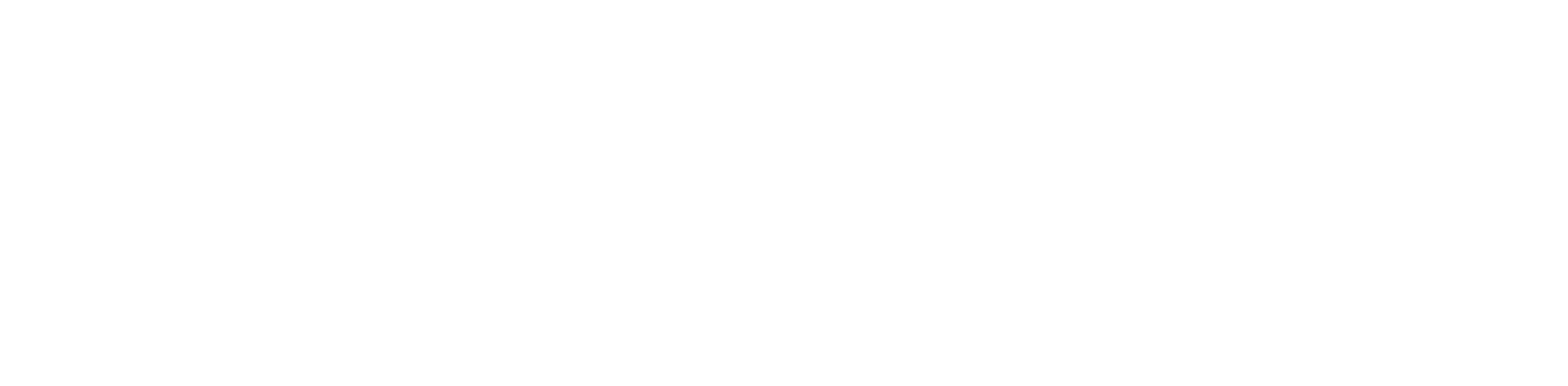 Plural