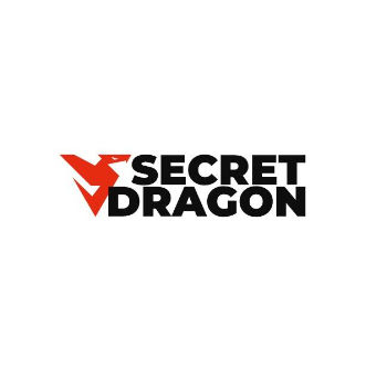 Logo de secret dragon