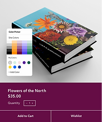 Сайт видавництва книг в процесі редагування в редакторі Wix.