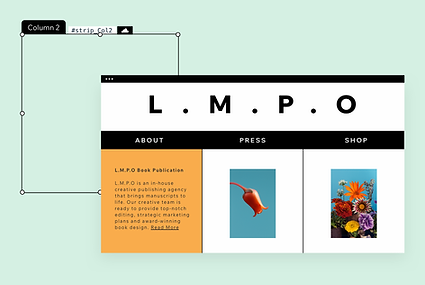 Редагування сайту видавництва книг і демонстрація дизайнерських функцій, таких як вибір кольорів, зображень тощо.