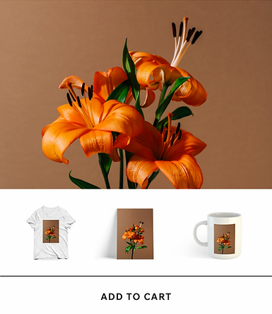 Інтернет-магазин, що пропонує товари з зображеннями: футболки, чашки та принти.