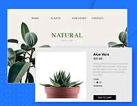 Online Store for Plants, Aloe Vera