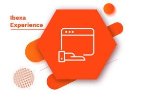 Experience copia.png