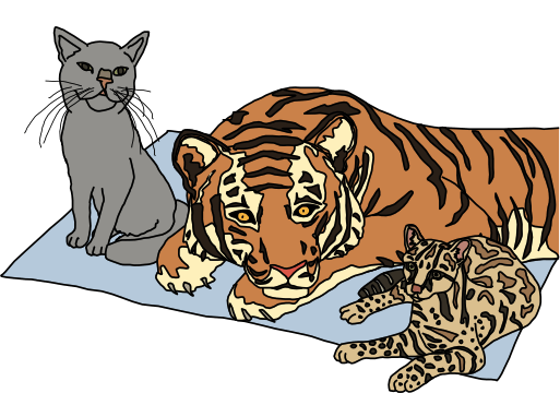 Javascript For Cats