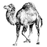 Perl MySQL Tutorial Perl MySQL Tutorial