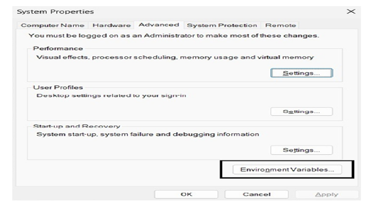 Environment Variable Environment Variable