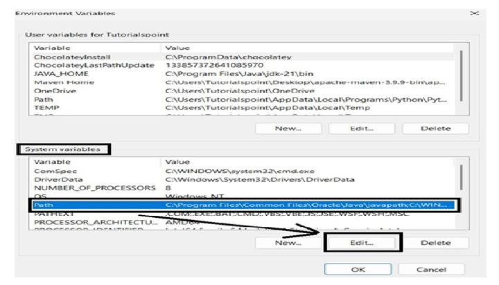Environment Variable Environment Variable