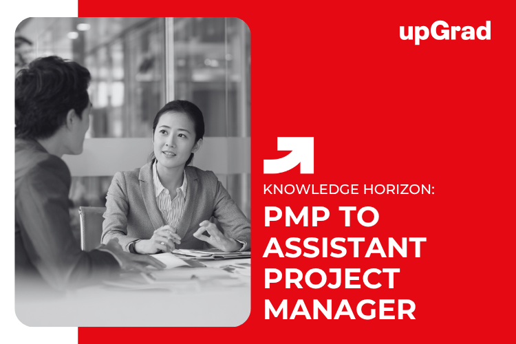 PMP to Assistant Project Manager